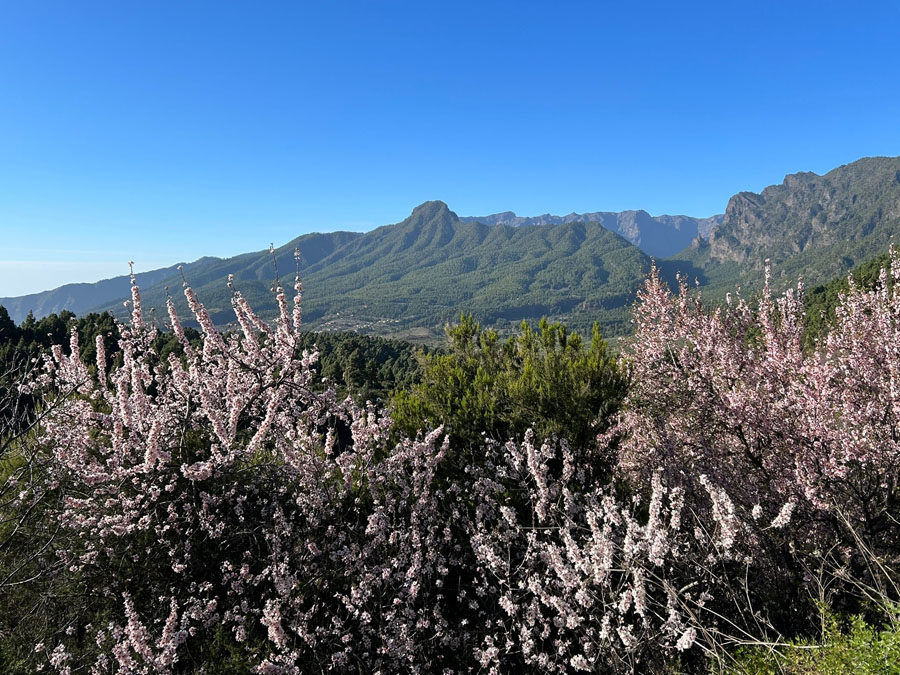 LaPalma_8